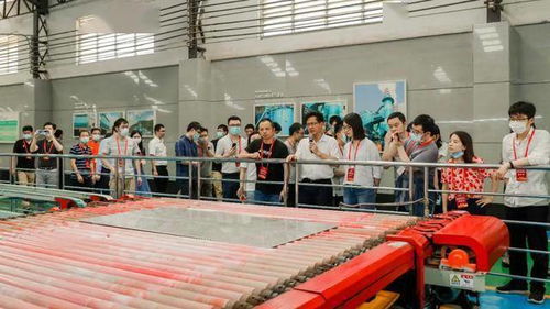 蒙娜麗莎董高齊上陣，投資者交流會聚焦技術創(chuàng)新與市場前景